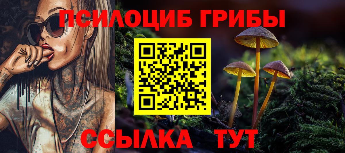 Белово  Псилоцибиновые грибы ЛСД  Вход с VPN 