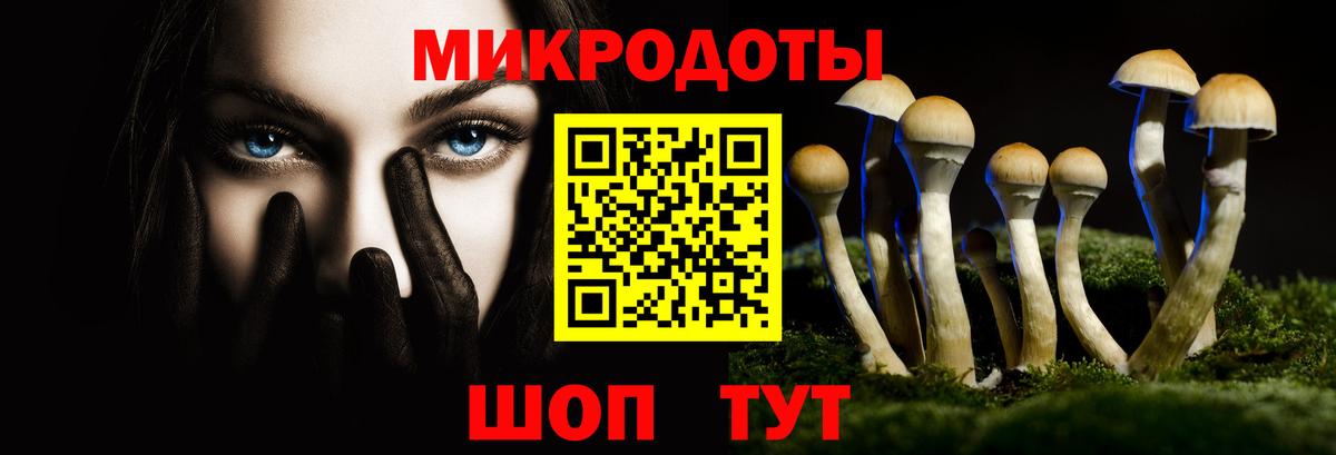 Галлюциногенные грибы мухоморы Белово